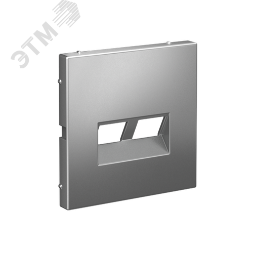 ARTGALLERY НАКЛАДКА двойная для информационных функций типа Keystone, СТАЛЬ - фото 2