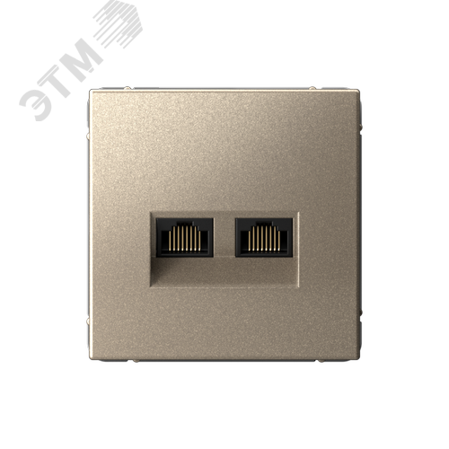 Изображение товара ARTGALLERY РОЗЕТКА двойная компьютерная RJ45+RJ45, кат. 5е, механизм, ШАМПАНЬ (шт)