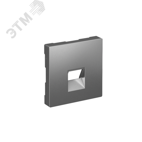 ATLASDESIGN НАКЛАДКА для информационных функций типа Keystone, СТАЛЬ - фото 1