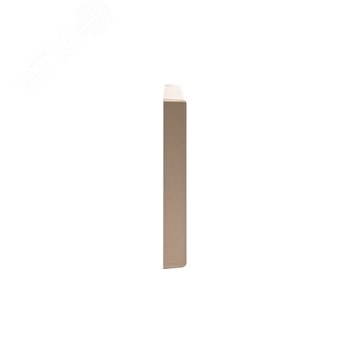 ARTGALLERY рамка 2-постовая, универсальная, шампань - фото 6