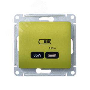 GLOSSA USB РОЗЕТКА тип-C 65W высокоскор.заряд. QC, PD, механизм, ФИСТАШКОВЫЙ - фото 2