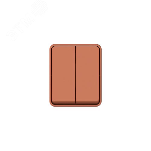 AtlasDesign PROFI IP54 О/У 2-клавишный ВЫКЛЮЧАТЕЛЬ 10 АХ, ТЕРРАКОТОВЫЙ - фото 4