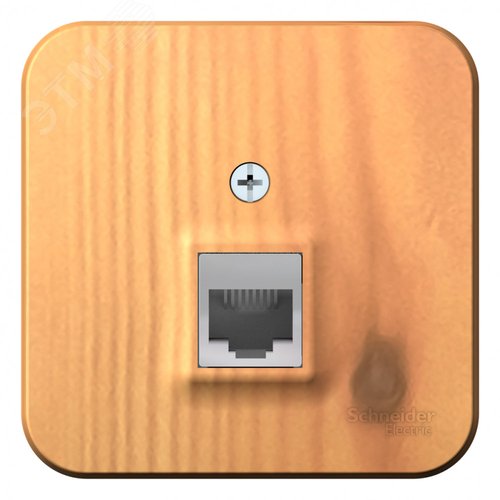 Розетка BLANCA наружная компьютерная RJ45, кат.5e, с изолирующей пластиной, ясень - фото 3