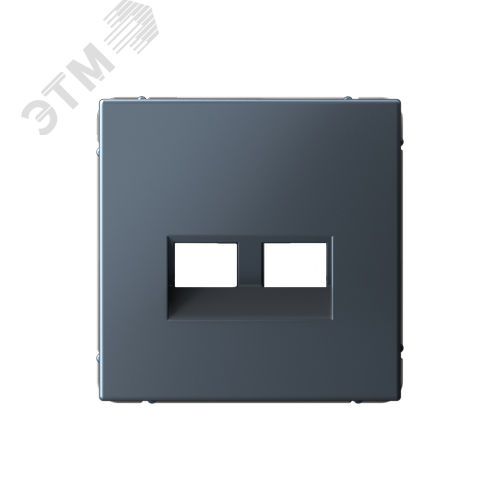 ARTGALLERY НАКЛАДКА двойная для информационных функций типа Keystone, ГРИФЕЛЬ - фото 1