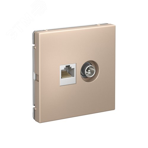 ARTGALLERY розетка двойная ТВ + компьютерная RJ45, кат. 5Е, песочный - фото 2