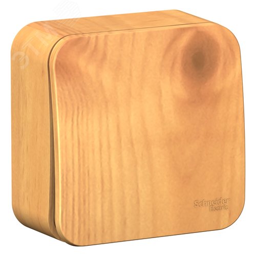 BLANCA одноклавишный выключатель наружный (cх.1) с изолирующей пластиной, 10A, 250B, ясень - фото 6