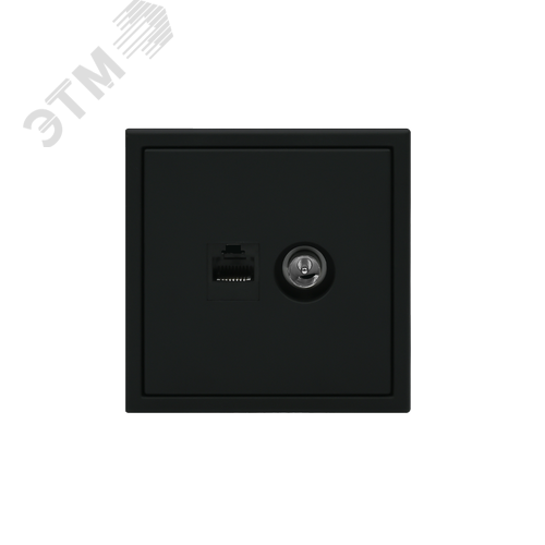 ARTGALLERY розетка двойная ТВ + компьютерная RJ45, кат. 5Е, карбон - фото 3