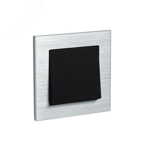 Рамка однопостовая ATLASDESIGN NATURE, МЕТАЛЛ     СЕРЕБРО - фото 4