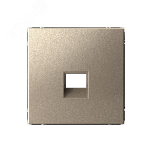 ARTGALLERY накладка информационная типа Keystone, шампань - фото 1