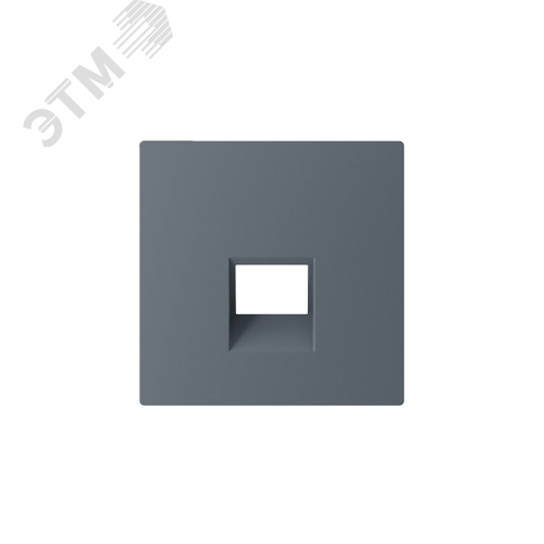 ATLASDESIGN НАКЛАДКА для информационных функций типа Keystone, ГРИФЕЛЬ - фото 2