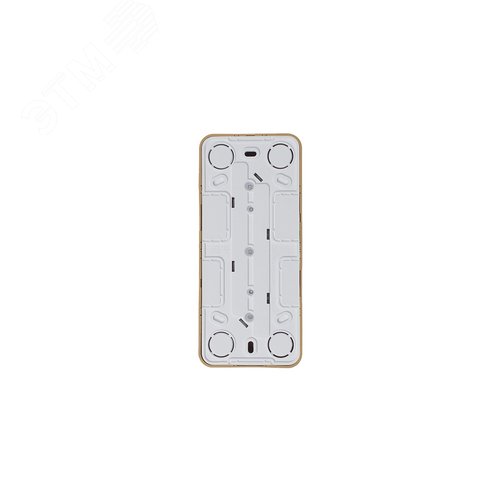 Розетка BLANCA наружная трехпостовая, с заземлением, со шторками, с изолирующей пластиной, 16А, 250В, ясень - фото 5