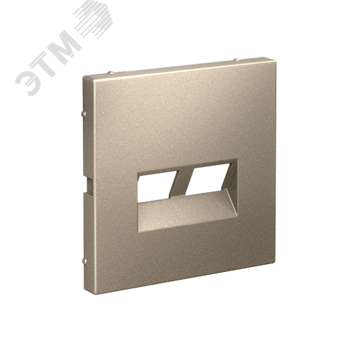 ARTGALLERY НАКЛАДКА двойная для информационных функций типа Keystone, ШАМПАНЬ - фото 2