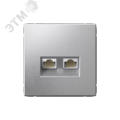Изображение товара ARTGALLERY РОЗЕТКА двойная компьютерная RJ45+RJ45, кат. 5е, механизм, АЛЮМИНИЙ (шт)