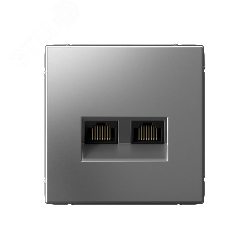 Изображение товара ARTGALLERY РОЗЕТКА двойная компьютерная RJ45+RJ45, кат.6А, механизм, СТАЛЬ (шт)