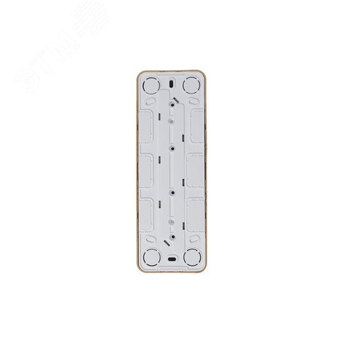 Розетка BLANCA наружная четырехпостовая, без заземления, без шторок, с изолирующей пластиной, 16А, 250В, ясень - фото 5