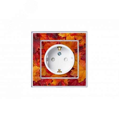 Розетка ATLASDESIGN Art с заземлением со шторками 16А механизм прозрачный с возможностью установки  персонального изображения - фото 13