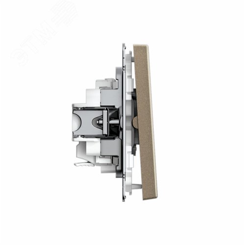 ARTGALLERY 2-клавишный ВЫКЛЮЧАТЕЛЬ, 10АХ, механизм, быстрозажимные клеммы, ШАМПАНЬ - фото 3