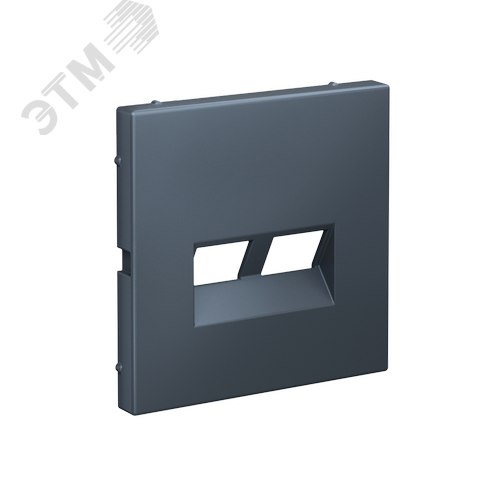 ARTGALLERY НАКЛАДКА двойная для информационных функций типа Keystone, ГРИФЕЛЬ - фото 2