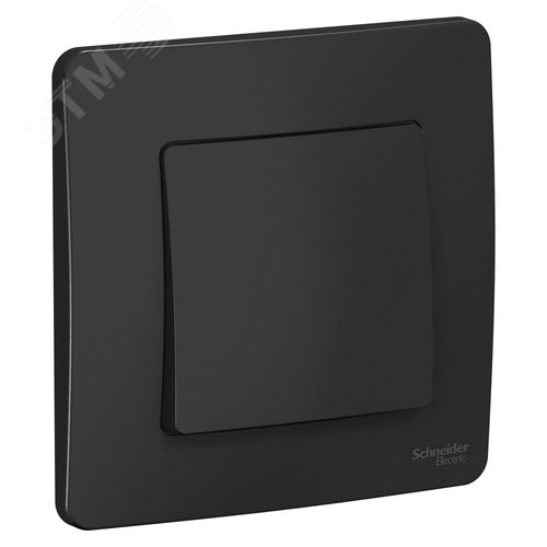 BLANCA скрытой установки одноклавишный переключатель (cх.6), 10A, 250B, антрацит - фото 1