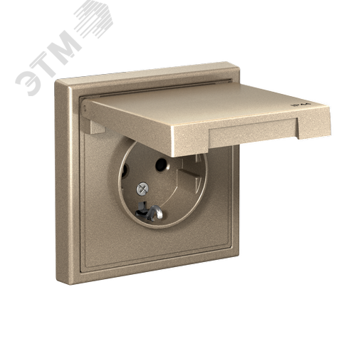 ARTGALLERY РОЗЕТКА с заземл. со шт. с крышк, 16А, IP44, механизм, ШАМПАНЬ - фото 3