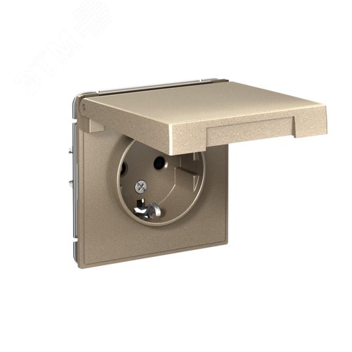ARTGALLERY розетка с заземл. со шторк. с крышкой, 16А, IP20, механизм, шампань - фото 2