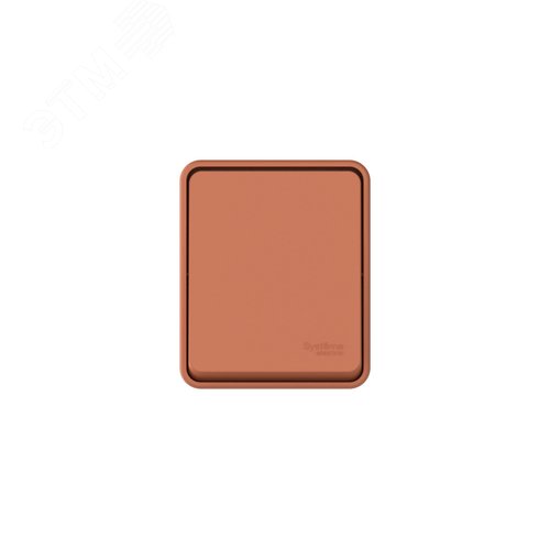 AtlasDesign PROFI IP54 О/У 1-клавишный ВЫКЛЮЧАТЕЛЬ с самовозвратом 10 АХ, ТЕРРАКОТОВЫЙ - фото 2