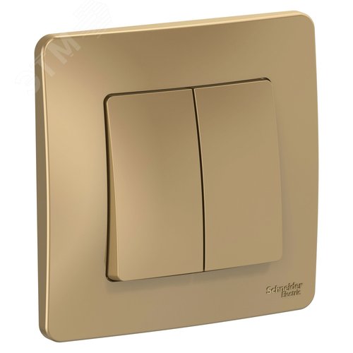 Изображение товара BLANCA скрытой установки двухклавишный выключатель (cх.5), 10A, 250B, титан (шт)