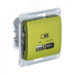 Изображение товара GLOSSA USB РОЗЕТКА A + тип-C 45W высокоскор.заряд. QC, PD, механизм, ФИСТАШКОВЫЙ (шт)