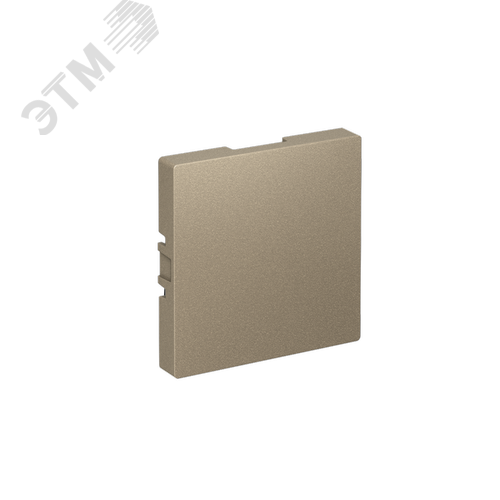 ЗАГЛУШКА ATLASDESIGN, ШАМПАНЬ - фото 1