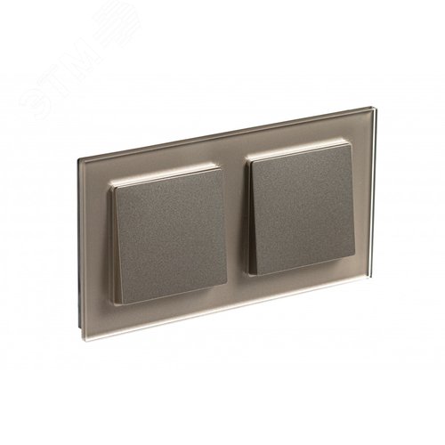 Рамка двухпостовая ATLASDESIGN NATURE, ОРГАНИЧЕСКОЕ СТЕКЛО ШАМПАНЬ - фото 3