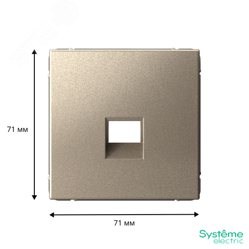 ARTGALLERY накладка информационная типа Keystone, шампань - фото 3