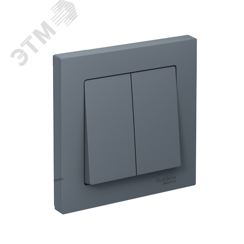 ATLASDESIGN 2-клавишный ВЫКЛЮЧАТЕЛЬ, сх.5, 10АХ, в сборе, быстрозажимные клеммы, ГРИФЕЛЬ - фото 1