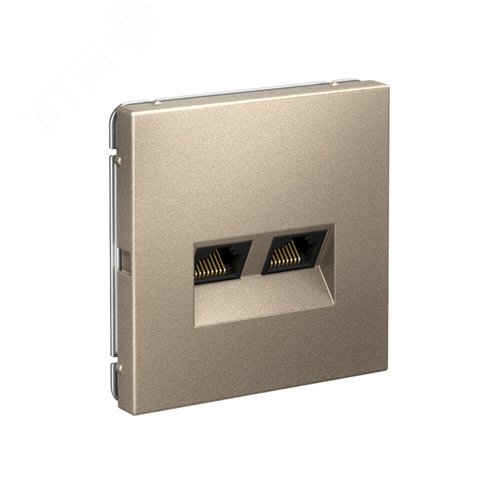 ARTGALLERY РОЗЕТКА двойная компьютерная RJ45+RJ45, кат.6А, механизм, ШАМПАНЬ - фото 2