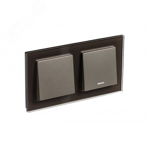 Рамка двухпостовая ATLASDESIGN NATURE, ОРГАНИЧЕСКОЕ СТЕКЛО МОККО - фото 3