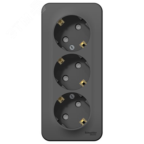 Розетка BLANCA наружная трехпостовая, с заземлением, со шторками, с изолирующей пластиной, 16А, 250В, антрацит - фото 1