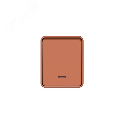 AtlasDesign PROFI IP54 О/У 1-клавишный ВЫКЛЮЧАТЕЛЬ с подсветкой 10 АХ, ТЕРРАКОТОВЫЙ - фото 2