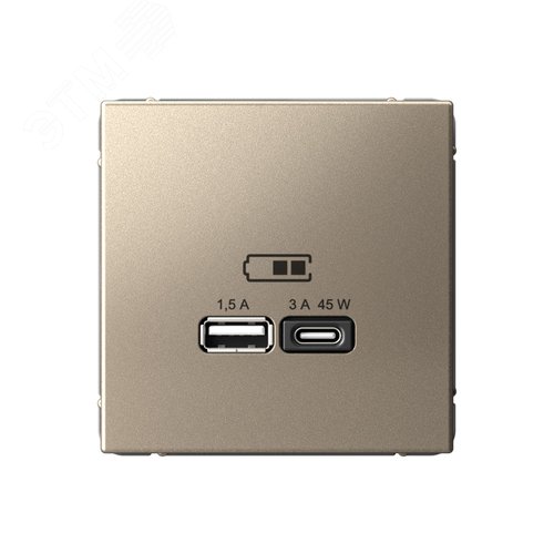 ARTGALLERY USB розетка A + тип-C 45Вт высокоскор.заряд. QC, PD, механизм, шампань - фото 1