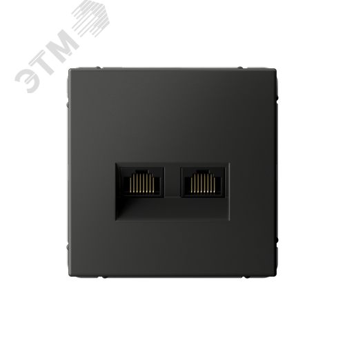 Изображение товара ARTGALLERY РОЗЕТКА двойная компьютерная RJ45+RJ45, кат. 5е, механизм, БАЗАЛЬТ (шт)