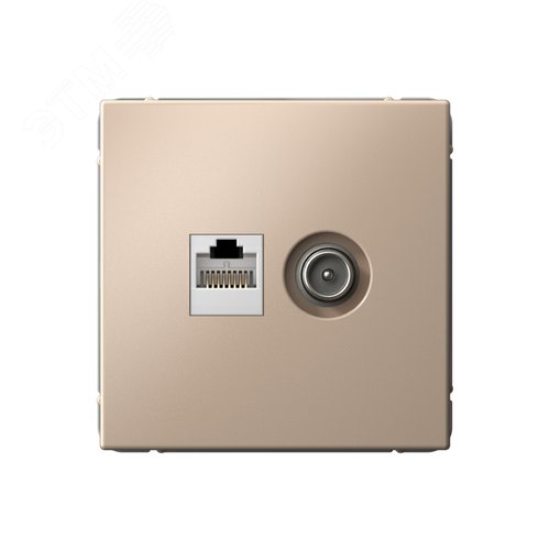 ARTGALLERY розетка двойная ТВ + компьютерная RJ45, кат. 5Е, песочный - фото 1