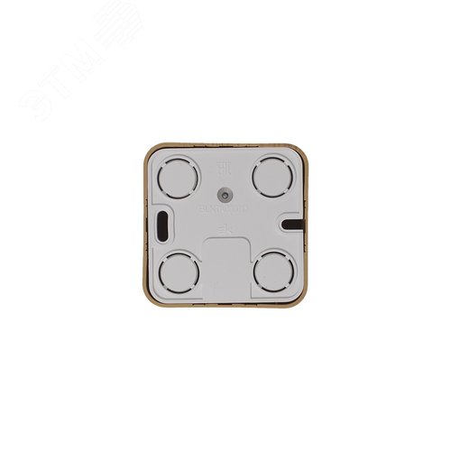 Коннектор ТВ BLANCAс изоляционной пластиной ясень - фото 3