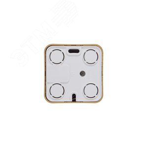 Розетка BLANCA наружная телефонная RJ11, с изолирующей пластиной, ясень - фото 7