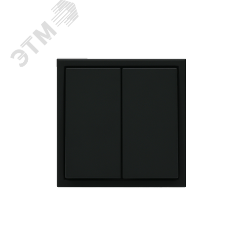 ARTGALLERY 2-клавишный переключатель, сх.6/2, 10АХ, механизм, карбон - фото 6