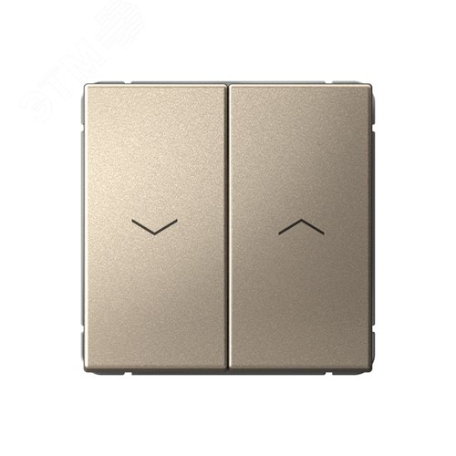 ARTGALLERY 2-клавишный выключатель для жалюзи, 2х сх.4, 10А, механизм, шампань - фото 1