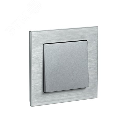 Рамка однопостовая ATLASDESIGN NATURE, МЕТАЛЛ     СЕРЕБРО - фото 3