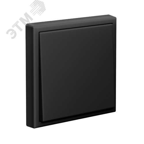 ARTGALLERY 1-клавишный выключатель, сх.1, 10АХ, карбон - фото 4