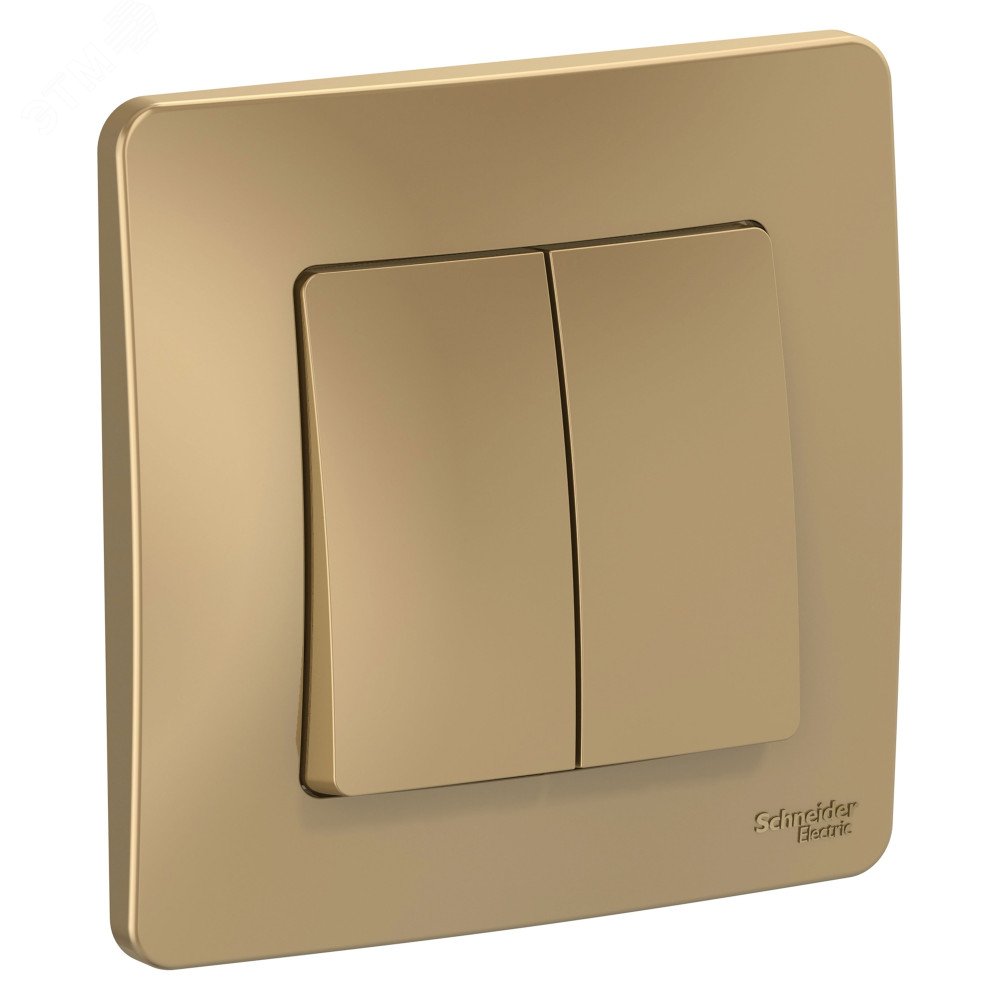 Изображение товара Выключатель BLANCA скрытой установки двухклавишный титан 10A 250B