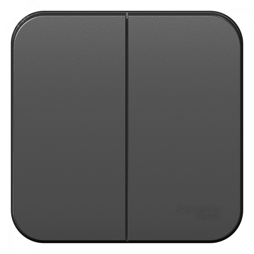 Изображение товара BLANCA двухклавишный выключатель наружный (cх.5), 10A, 250B, антрацит (шт)