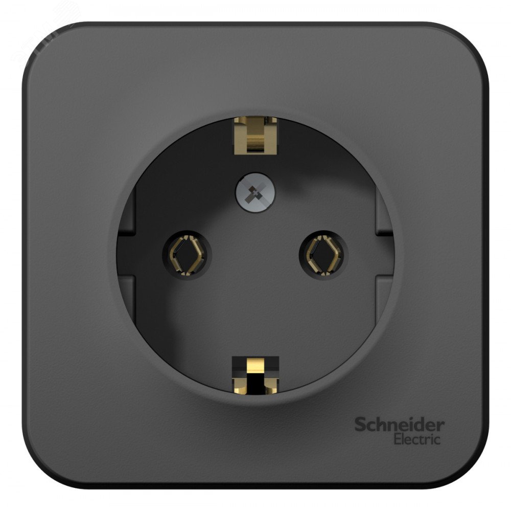 Изображение товара Розетка наружная розеточная с заземлением антрацит 16А 250В Systeme Electric BLANCA