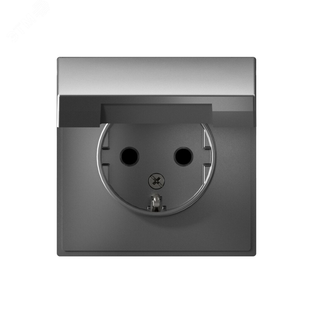 Изображение товара Розетка ARTGALLERY со шторками и крышкой, 16А, IP20