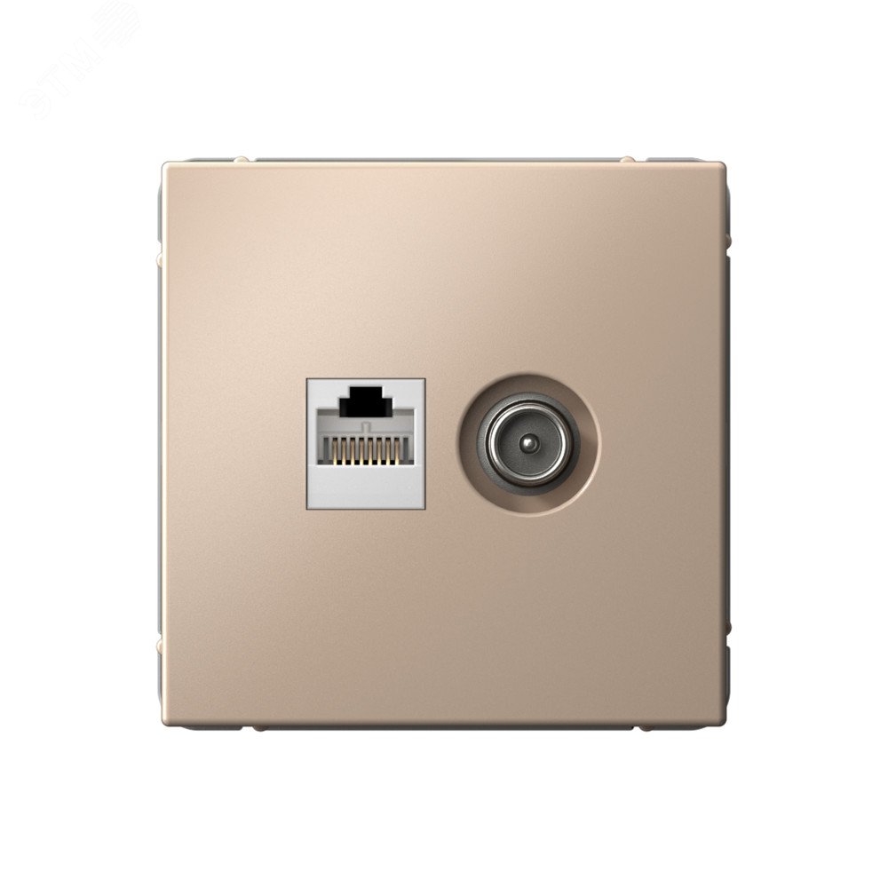Изображение товара ARTGALLERY розетка двойная ТВ + компьютерная RJ45, кат. 5Е, песочный (шт)